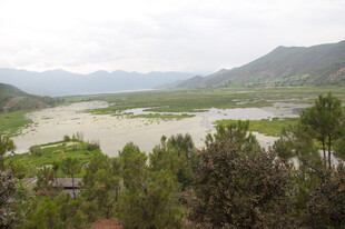 山间河谷绿意盎然美景