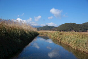 宁静乡村小河风景