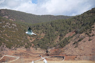 山间景色与空中飞行器