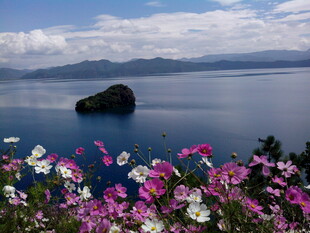 湖畔繁花与孤岛美景