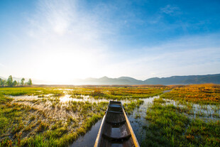 泛舟湿地赏美景