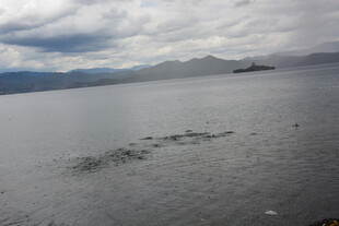 海上风景与远处船只