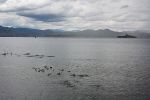 宁静湖面与远方山峦