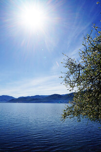 阳光照耀下的宁静湖水