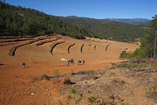 山坡上的梯田开垦场景