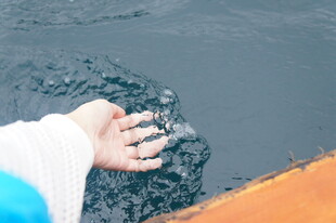 手触水面泛起涟漪