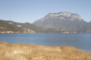 湖畔远山与金黄草地美景