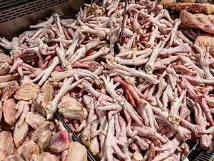 新鲜多样肉类食材展示