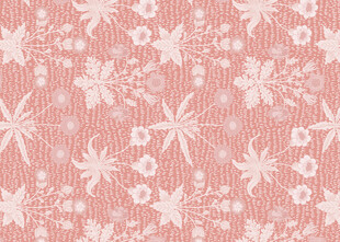 粉色花卉纹理图案背景