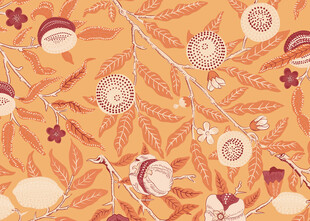 秋日坚果花卉图案背景