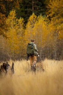 秋日猎人携猎犬穿行草地