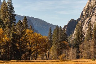 秋日山谷壮丽自然景观
