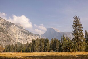 山间松林与壮丽山峦景观