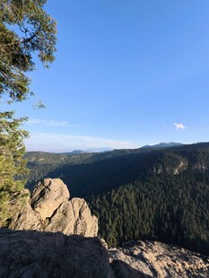 山巅美景 俯瞰葱郁山林