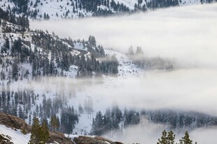 雪山雾霭中的静谧山林