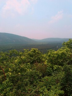 山林绿意 自然风光美景