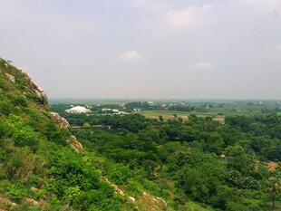 山巅俯瞰绿意盎然之景