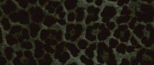 深绿豹纹图案纹理