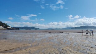 海边漫步 享受惬意时光