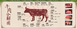 牛肉部位分割示意图