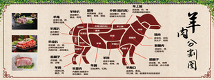 羊肉分割图