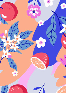 缤纷水果花卉插画世界