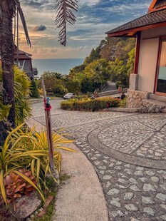 庭院小径旁的美丽景致