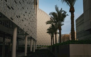 现代建筑旁的棕榈树景观