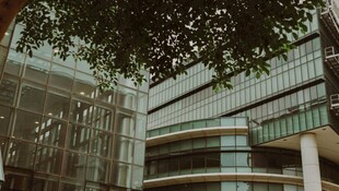 现代玻璃建筑与绿树景观