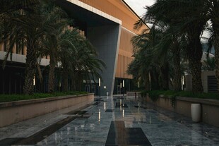 现代建筑旁的林荫步道