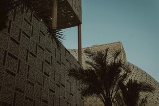 现代建筑旁的棕榈树景观