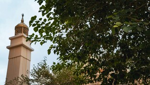 尖顶塔楼隐于绿树间