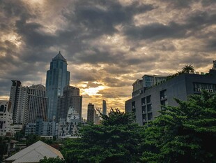 城市黄昏天际线与绿植景观