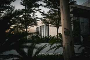 黄昏下的庭院绿植景观