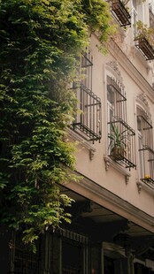 爬满绿植的复古建筑外墙