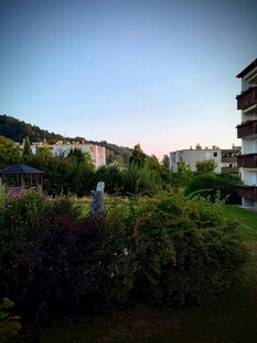 城市绿植与建筑景观