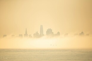 雾中城市天际线景观