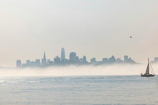 海上雾中城市与帆船景观