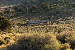 山间植被覆盖的开阔景致