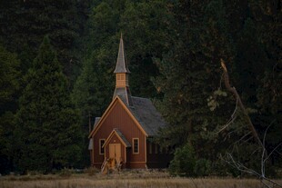 森林中的古朴小教堂