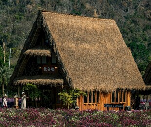 传统茅草屋 自然中的建筑