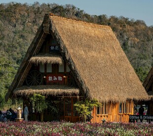 传统日式茅草屋景观