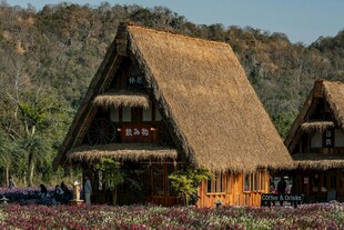 乡村茅草屋 自然田园风光