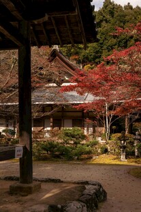 日式庭院中的红枫景致