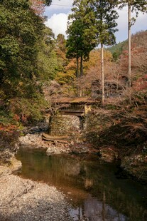 秋日林间溪流上的木桥