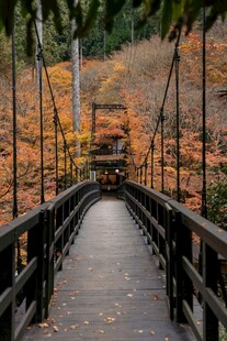 秋日林间吊桥美景