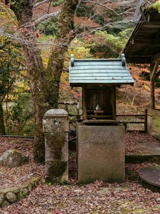林间古朴小亭与石制设施