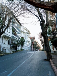 宁静街道旁的白色建筑