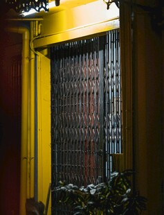 黄色铁门与门前绿植