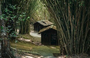 竹林中的古朴小屋